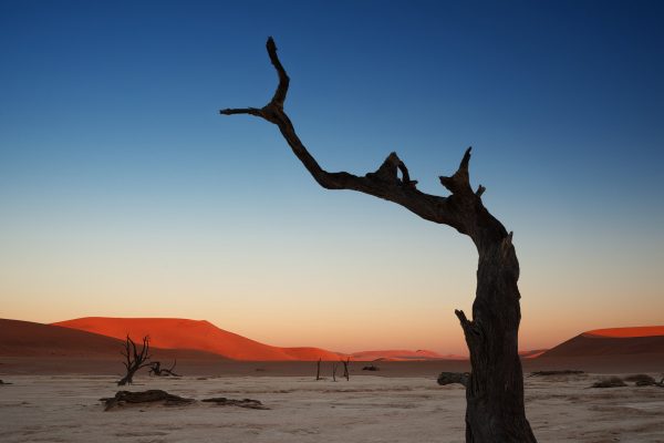 The Namib desert and Deadvlei Namibia