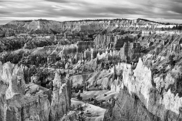 Scenic b&w view of Bryce canyon Utah